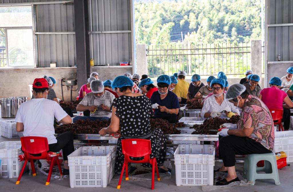 九游官网入口:习近平总书记关切事·嘱托|生态守护者的绿色画卷(图6)