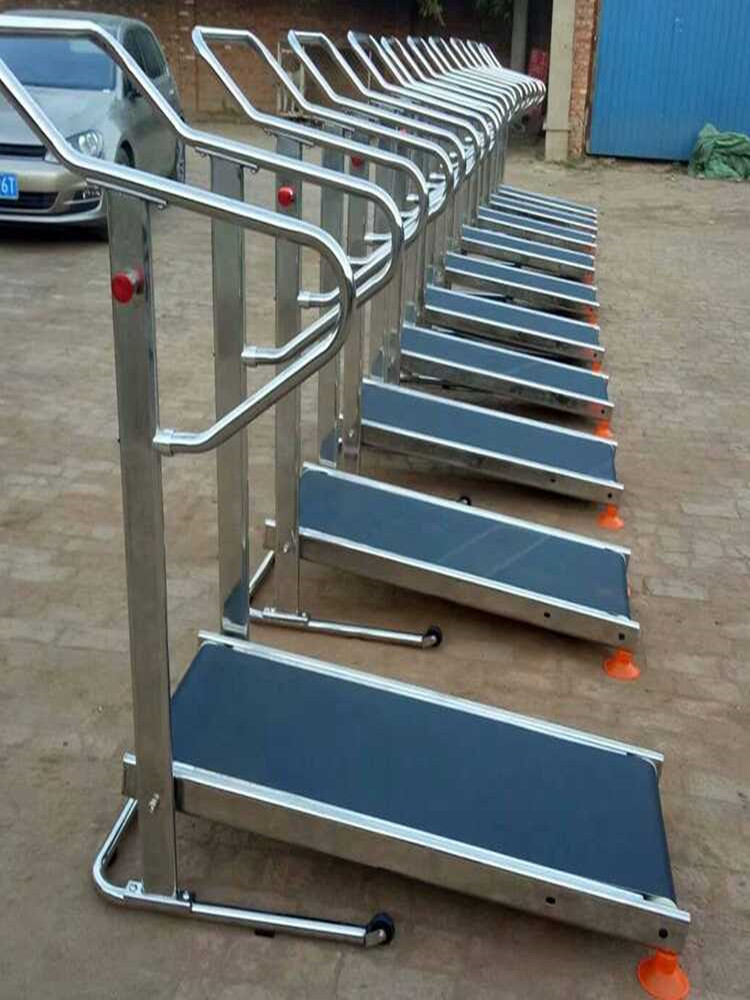 2025 CMAS世锦赛:Rui Joana携DIVEVOLK登顶手机摄影组(图1)