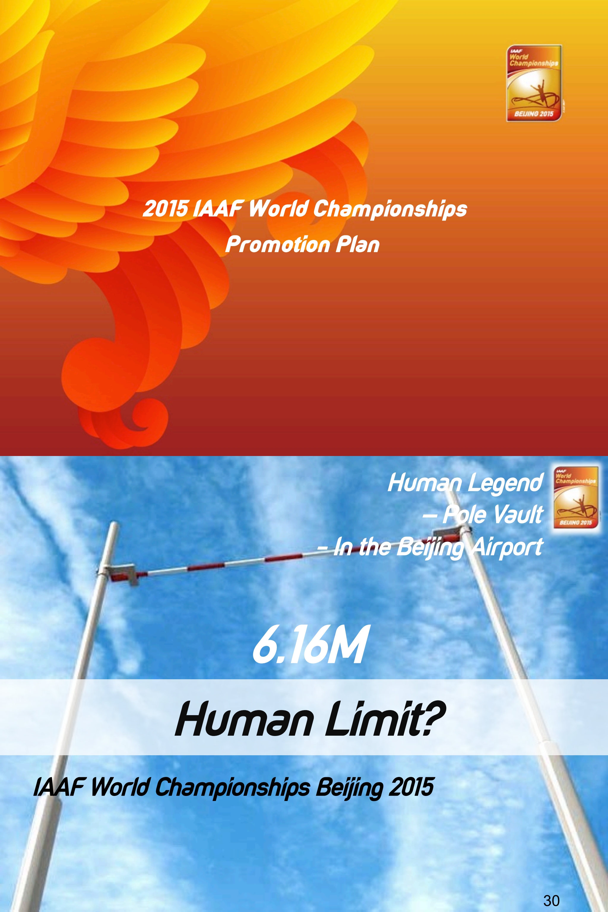 IAAF国际田联合作计划(图1)