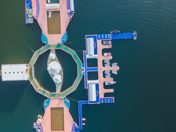 九游官网入口：巡查人员用镰刀砍穿桨板官方通报(图1)