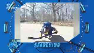 小明陪你过端午_光明网(图1)