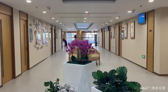 6000元月起收费!衡山人寿堂养护院(地址价格)城南路88号入住(图2)