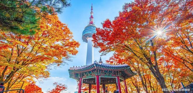 韩国曲棍球协会理事被控霸凌6项指控全被驳回官方查明没证据(图6)
